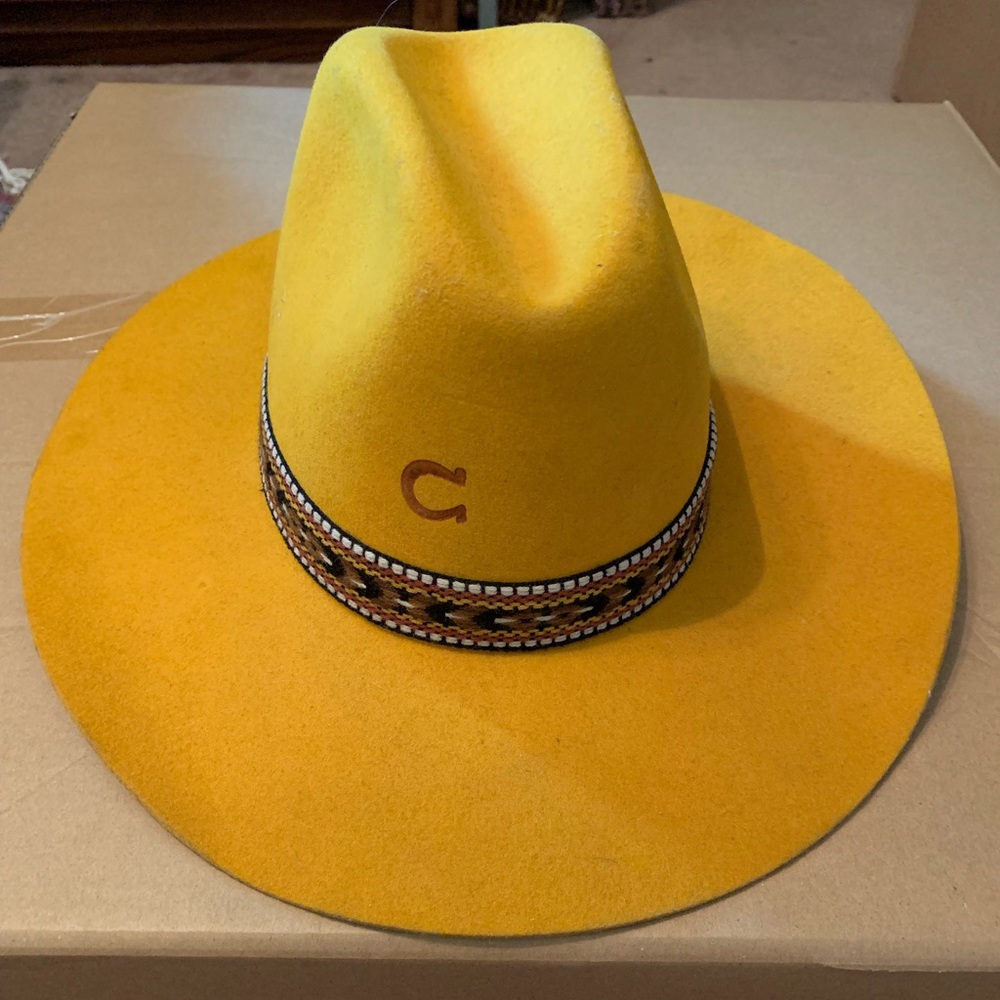 COPY - Charlie 1 Horse Hat